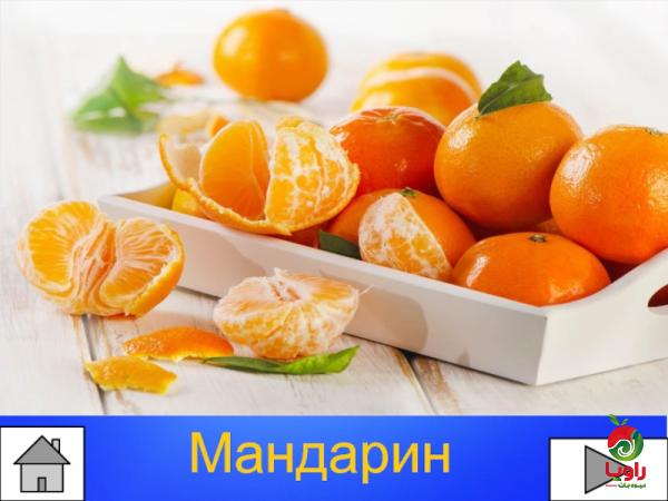 قیمت خرید نارنگی جهرمی+ مزایا و معایب